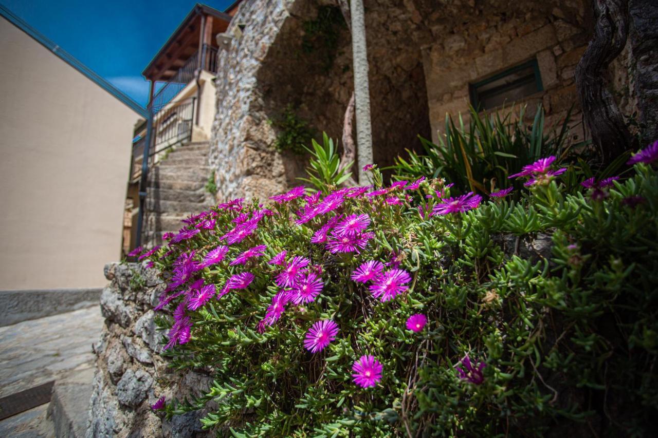 Parona Holiday Home Vrbnik Buitenkant foto